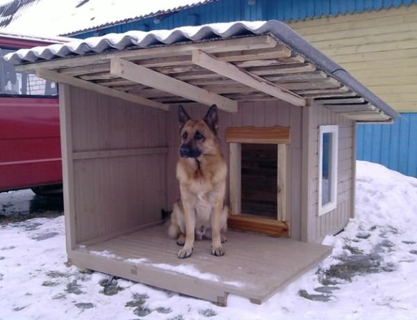 Как сделать утепленную будку для собаки своими руками